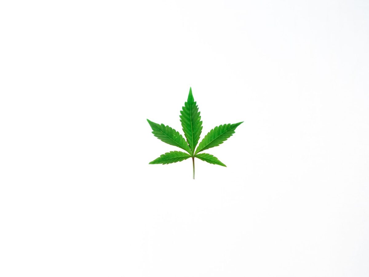 certificat analyse cbd cas usage profil