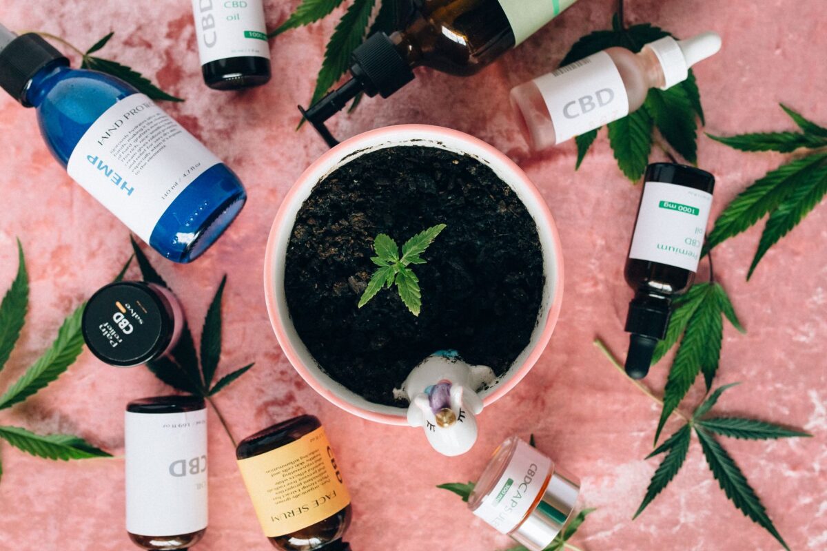 certificat analyse cbd lire profil cannabinoïdes