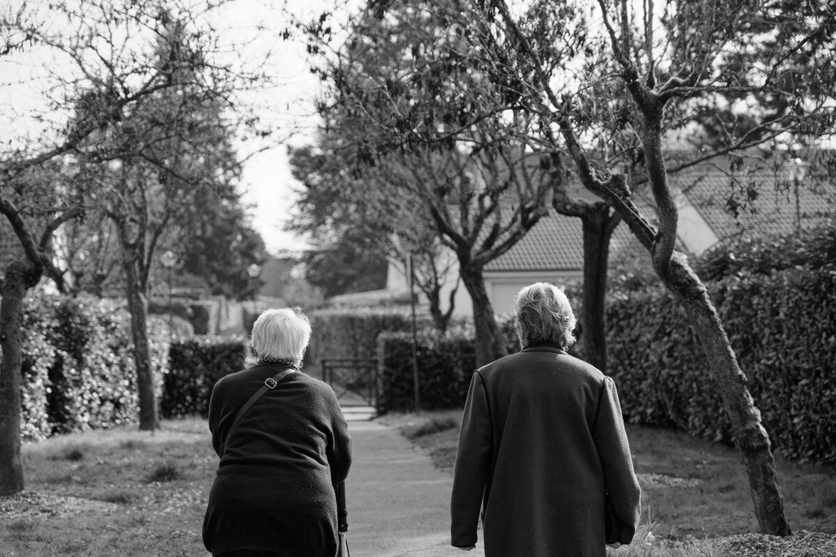 gestea senior domicile fonctionne coordination intervenants